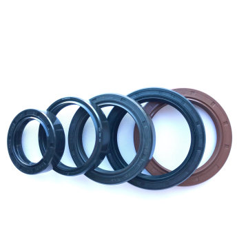 OEM/ODM Single Lip Tc Sc NBR FKM Skeleton Oil Seal